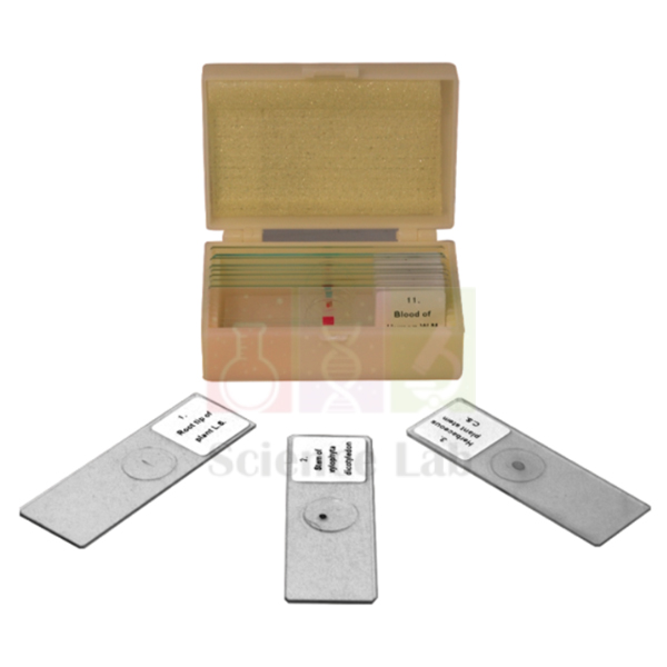 Microscopic Preparations for Anatomy